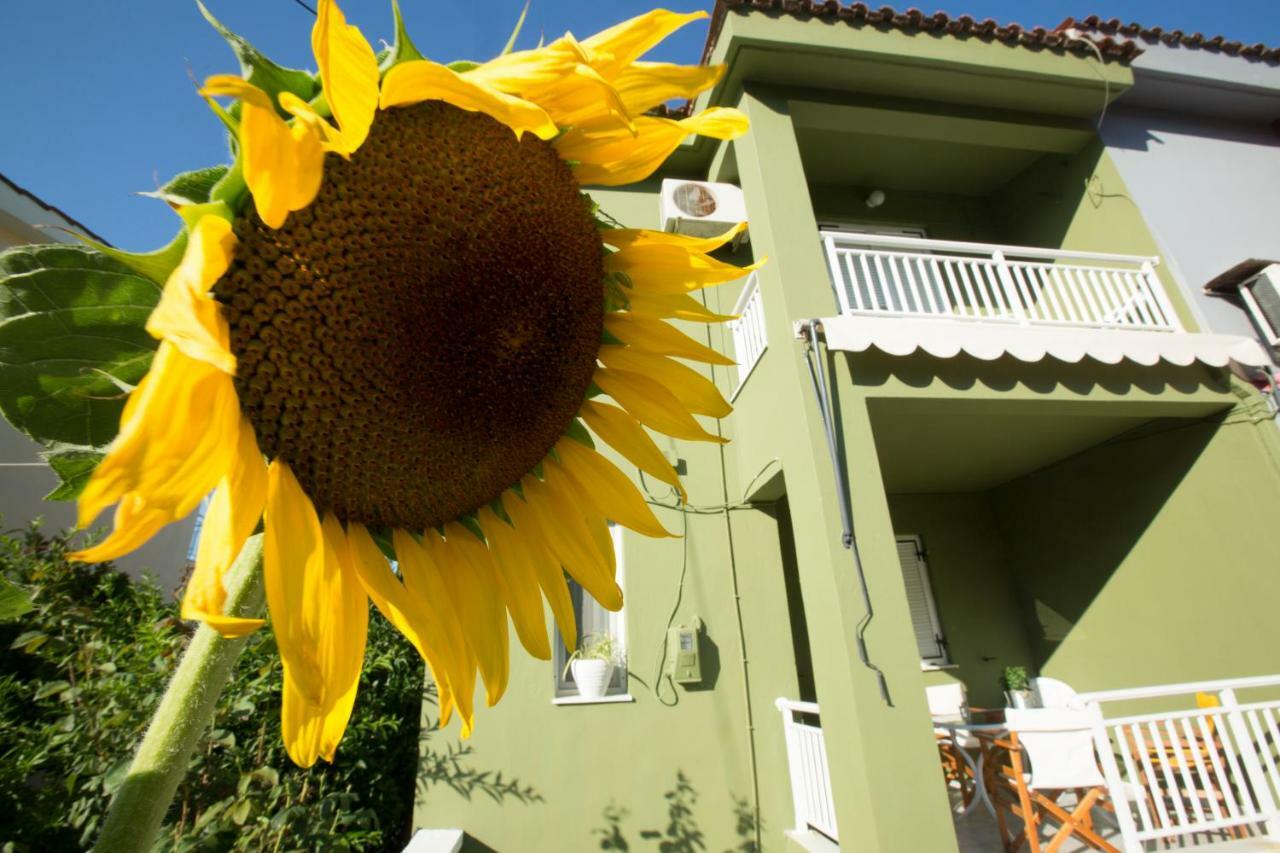 Marietta'S Townhouse Villa Argostoli  Luaran gambar